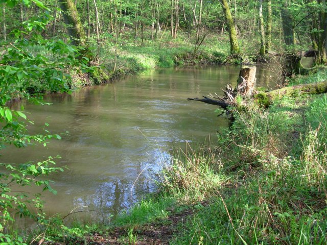 La lauter, une rivière de l'extrême Nord de l'Alsace